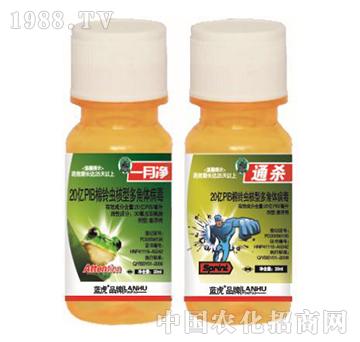 20�|PIB����x(ch��ng)���Ͷ���w����-һ��-���_(d��)����