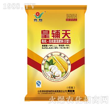 ���o���S�����ЙC(j��)-�o�C(j��)��(f��)�����10-10-10-���з���