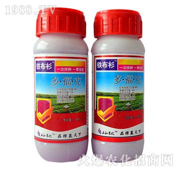 30%�����-�F����-�읙����