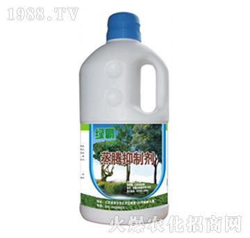 ���v���Ƅ�-�G��