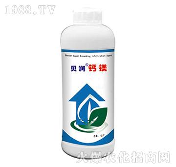 ؐ��(r��n)�}�V-ɭ��