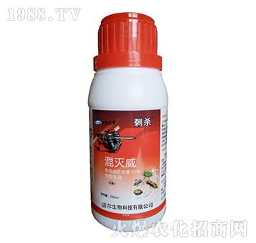 50%�����-�̚�-�Z������