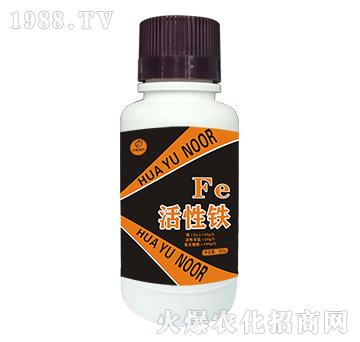 �����F-�Z��