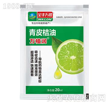 ��Ƥ����-�fֲ��(r��n)-���S�f¡