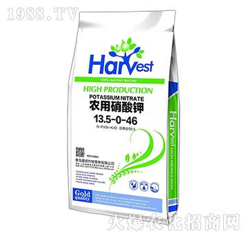 �r�������13.5-0-46-�۰�