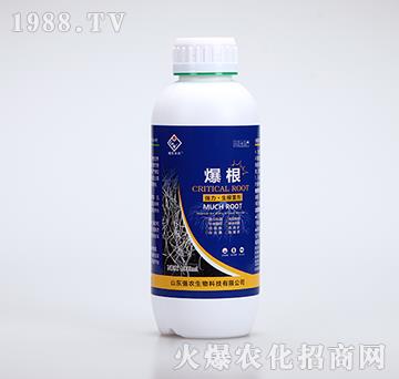 ��������������-����-���r(n��ng)����