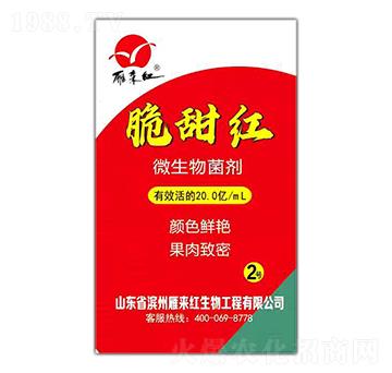 ΢�������-����t-���(l��i)�t