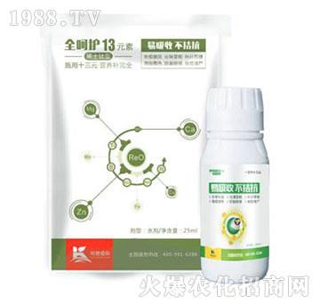 ����ͨ13Ԫ��-����ֲ��