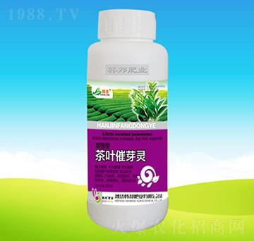 ���~��ѿ�`-�n��ʘI(y��)