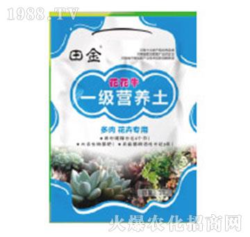 һ��(j��)�I(y��ng)�B(y��ng)��-����ţ-�������