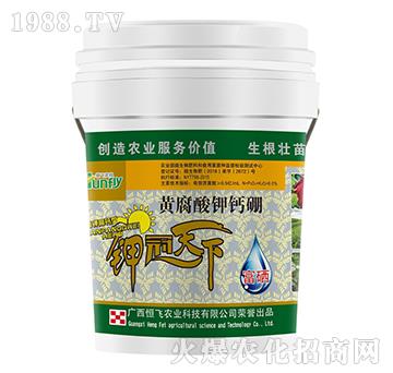 �S������}��-���w�r(n��ng)�I(y��)