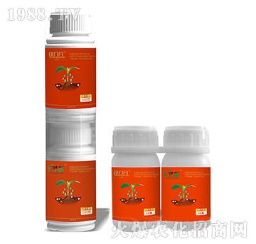 5%���x(ch��ng)��+10%��Ч�������-���+�F�T(m��n)�V-��ֲ��