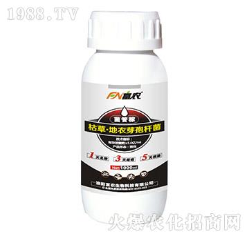 �ݲݡ�����ѿ�ߗU��-���ܼ�-���r