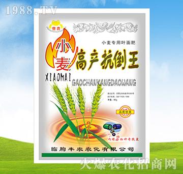 С���߮a(ch��n)������-ֲ��-�S�r(n��ng)�r(n��ng)��