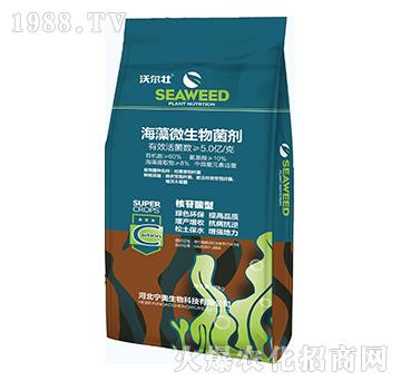 ����΢�������-�֠���-���W����