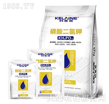 ��������-���R��-�W���r�I(y��)