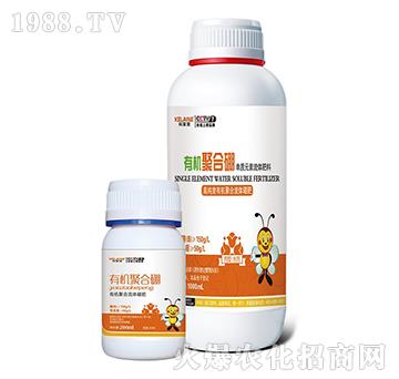 �ЙC�ۺ���-�W���r�I(y��)