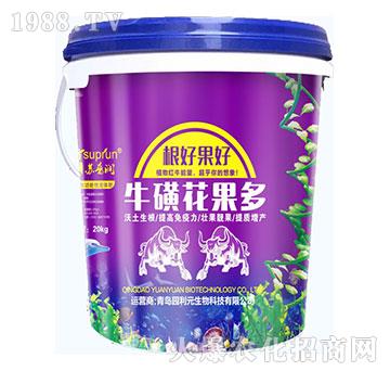 ���ǻ�����-�@��Ԫ