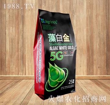 �۹Ȱ��������w��΢�������-��׽�-��ʩ��