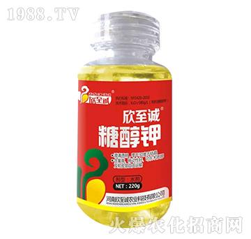 �Ǵ��-�����\