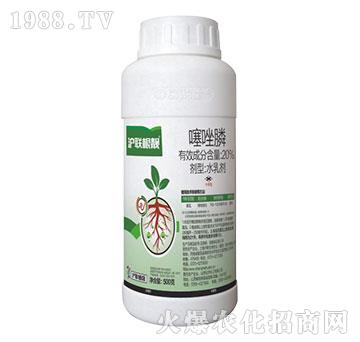 20%�����-��(li��n)���n-��(li��n)