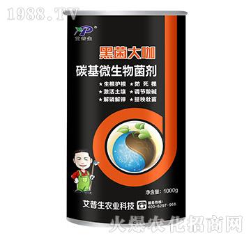 ̼��΢�������-�ھ���-������