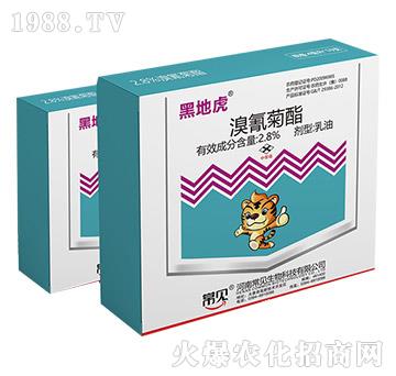 2.8%�������-�ڵػ�-��Ҋ����