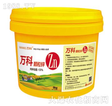 �w���\-�f��