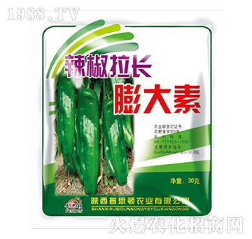 �������L�����-��˼�D�r�I(y��)