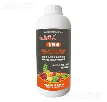 �ЙC��-�t���-��ķ�_