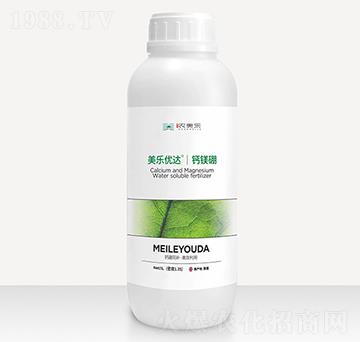 �����}�V�� ������(y��u)�_ ���