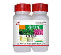 25%�ࡤ����������