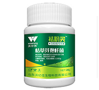 �׷۲�����-����`