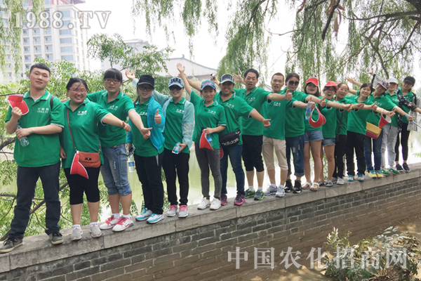 ȫ���Ը��� �����Լ�