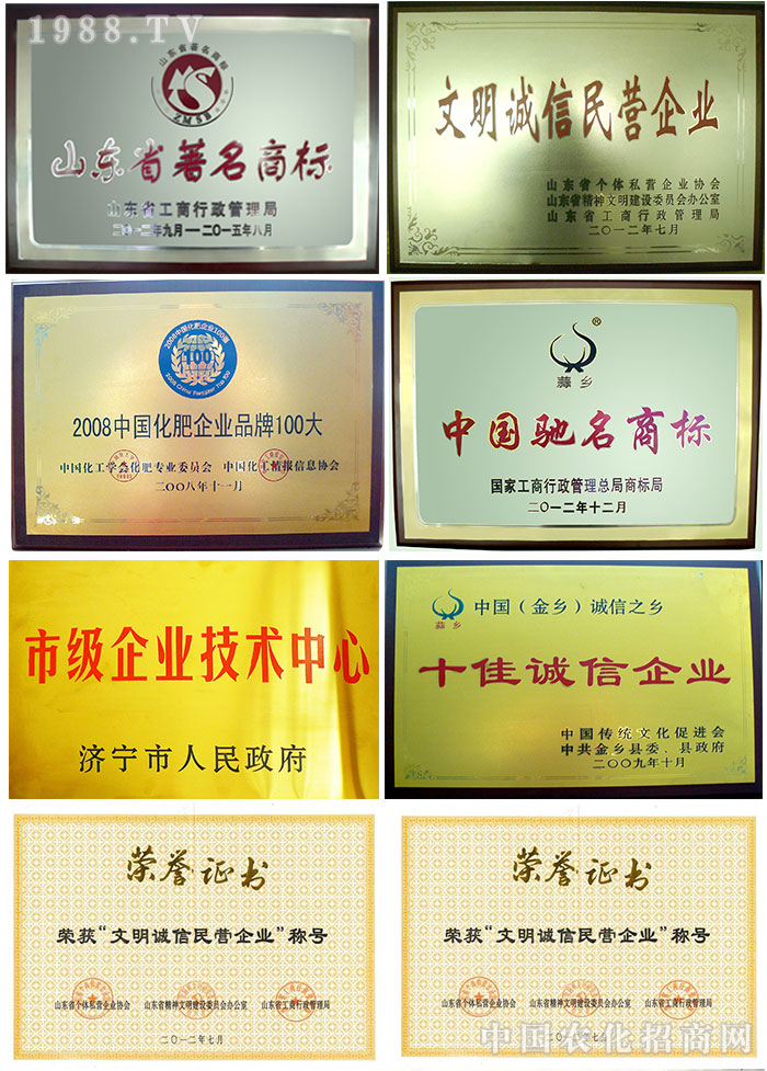 山東濟(jì)寧金網(wǎng)聯(lián)配方肥有限公司