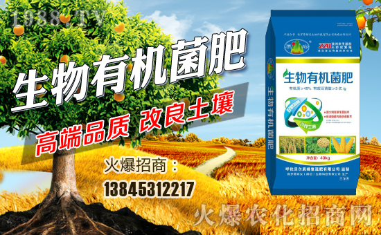 ��(n��i)�ɹ��Ʒ��r(n��ng)�I(y��)�l(f��)չ���޹�˾1