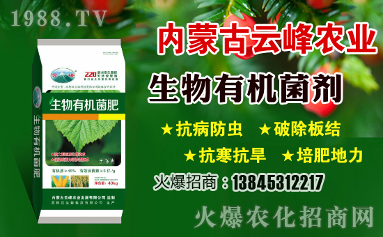 ��(n��i)�ɹ��Ʒ��r(n��ng)�I(y��)�l(f��)չ���޹�˾