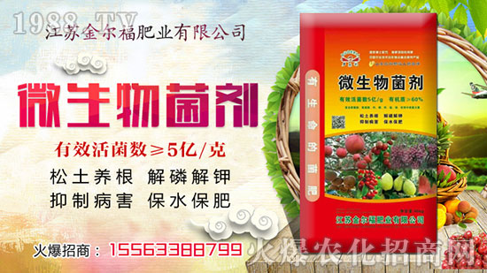 ���𠖸��ʘI(y��)��������ף���Ͽ͑�ؔԴ�V�M���ϼҚg�����f�����⣡