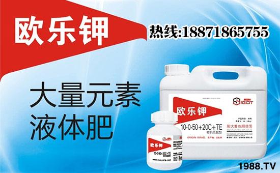 ��ِ���ء���ף���Ͽ͑��u���д��\(y��n)��ؔ(c��i)Դ�L�L��(l��i)��