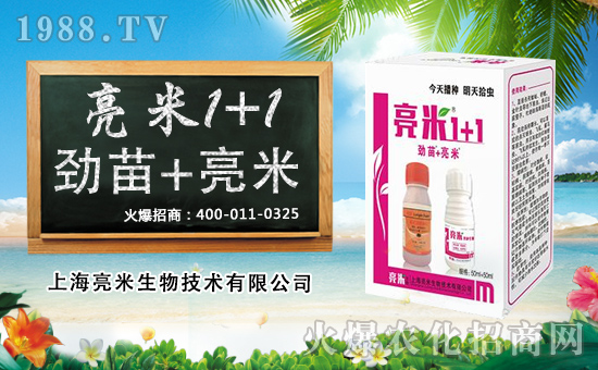 ����������x���yȫ�w�T��ף������옷���u������H�Қg����