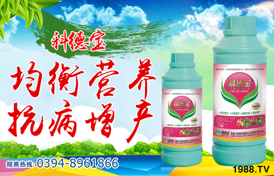 ���ô�Ƶ����F(tu��n)�������޹�˾1