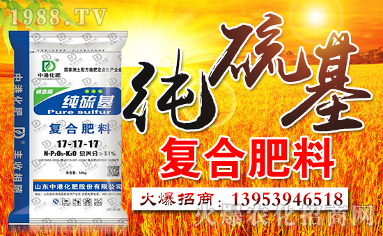 ɽ�|�иۇ�(gu��)�H���ʹɷ����޹�˾