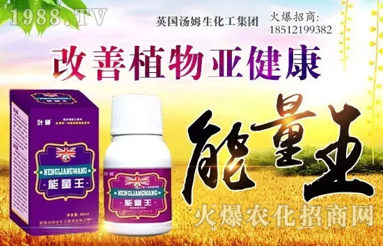 Ӣ����ķ���������F(tu��n)���޹�˾