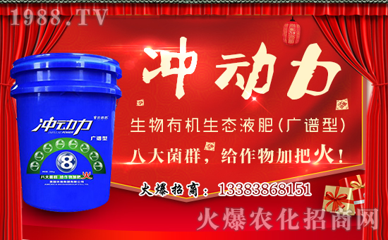 ����ؐʩ���F(tu��n)���޹�˾1