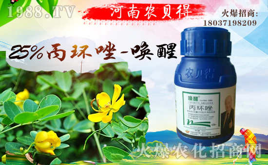 �����rؐ���r�I(y��)�Ƽ����޹�˾