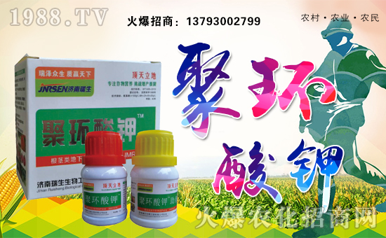 ��(j��)���������﹤�����޹�˾1