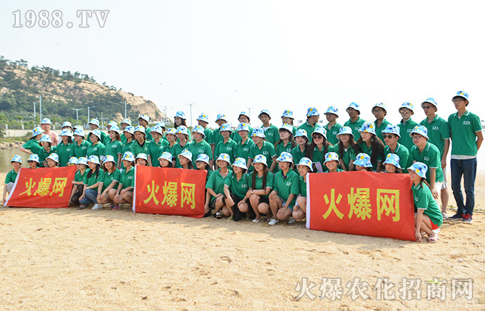 �q�����������q�ڣ�