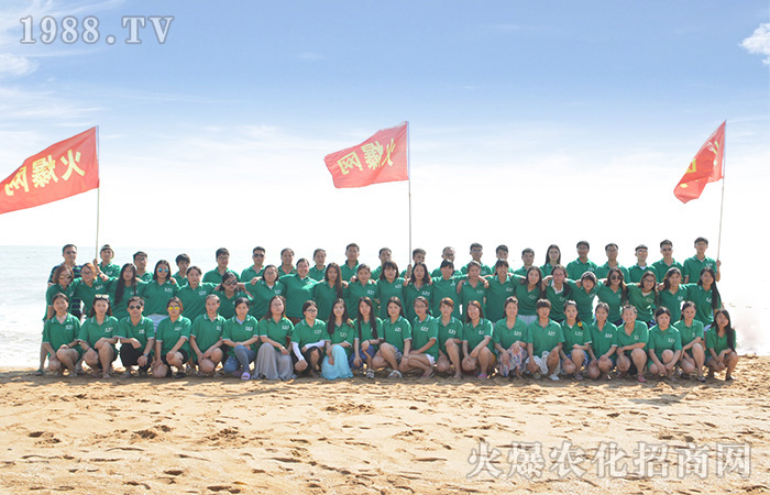 2017�꣬�������^����׌��������