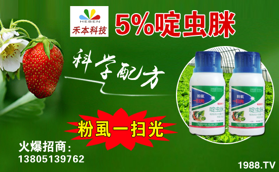 �B�Ƹۺ̱�����Ƽ����޹�˾