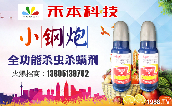 �B�Ƹۺ̱�����Ƽ����޹�˾